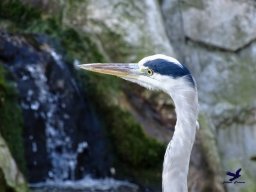 Tiergarten Schönbrunn am 03.10.2025